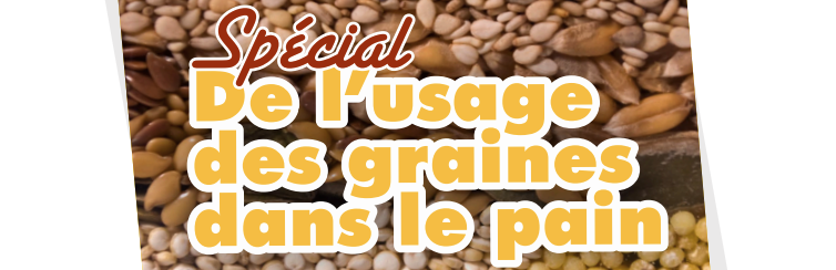 L’usage des graines dans le pain : leurs vertus nutritionnelles