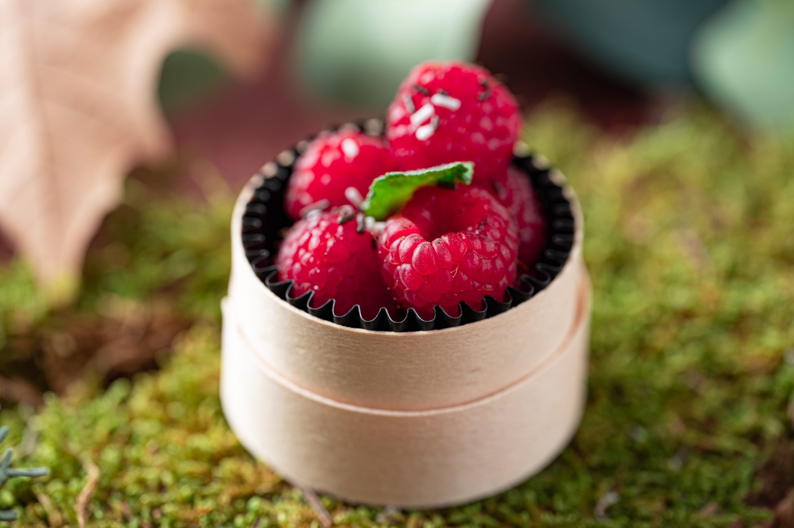 Packaging alimentaire. Des surprises dans le catalogue Comatec 2023