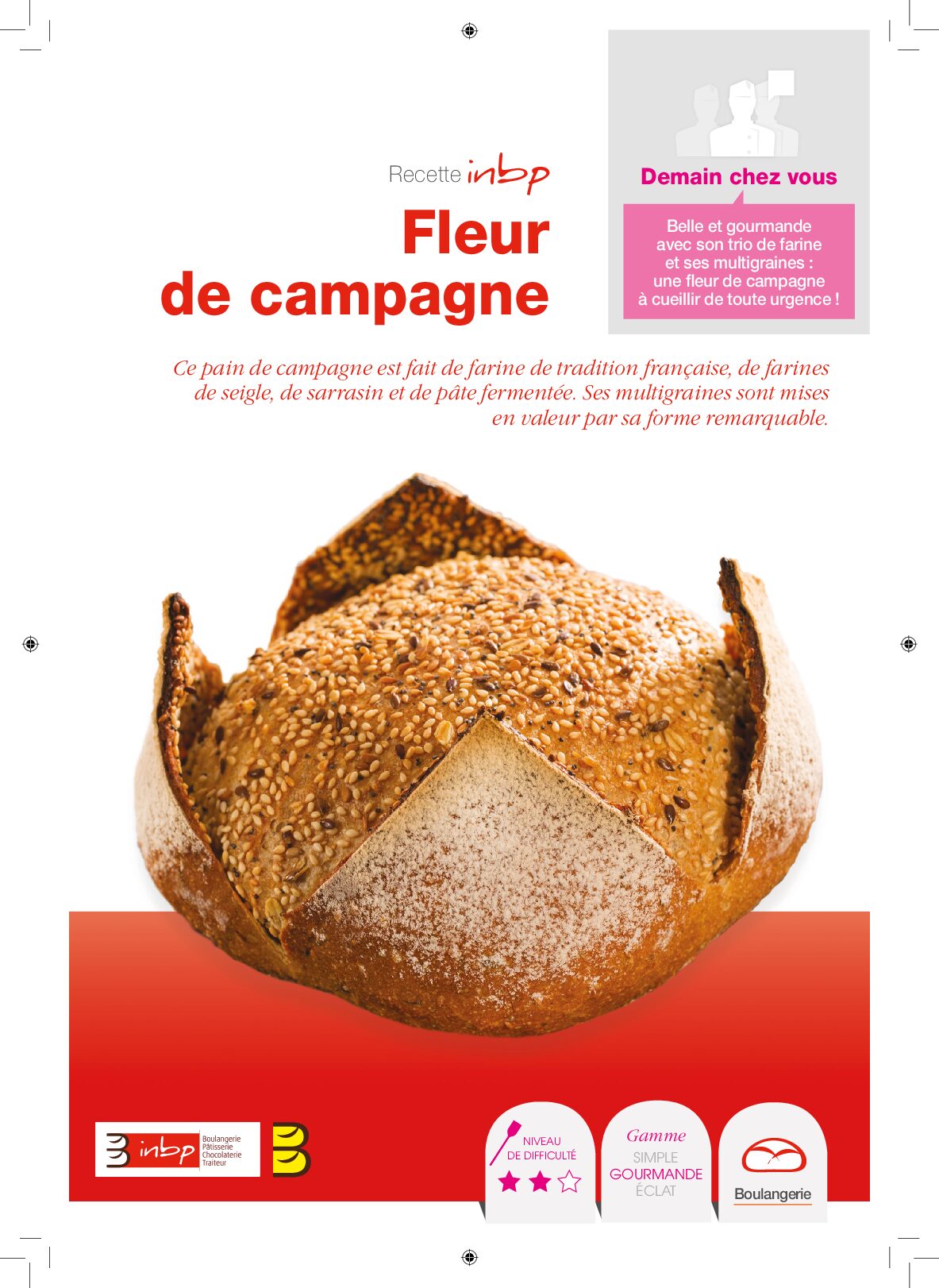 Fleur de campagne
