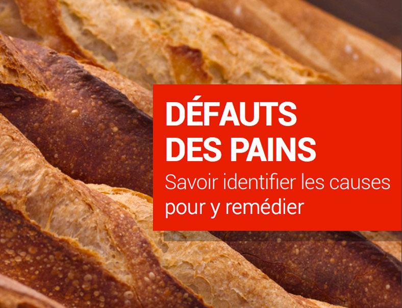 Défauts des pains : Savoir identifier les causes pour y remédier