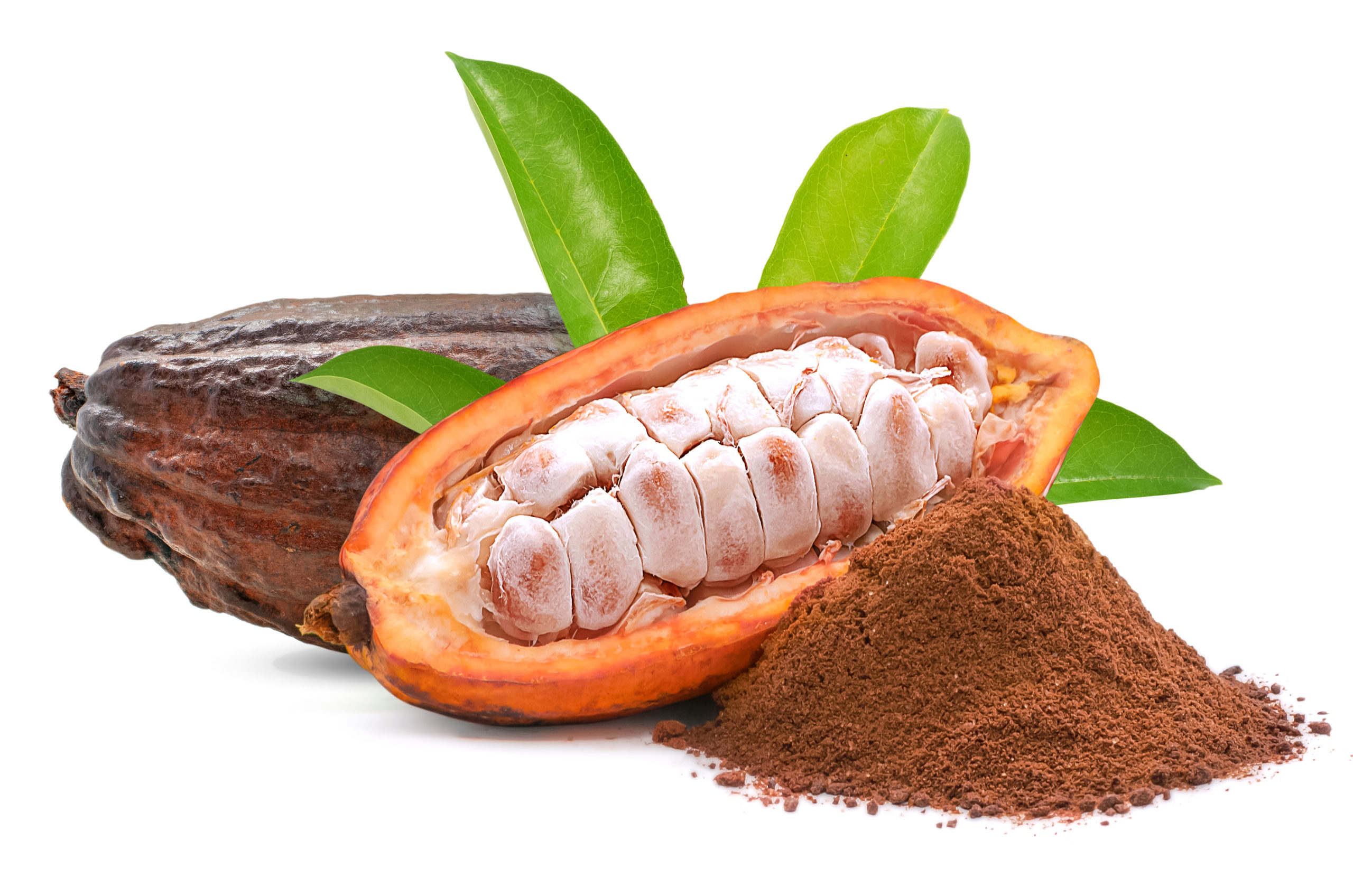 Valoriser les coproduits du cacao et du café