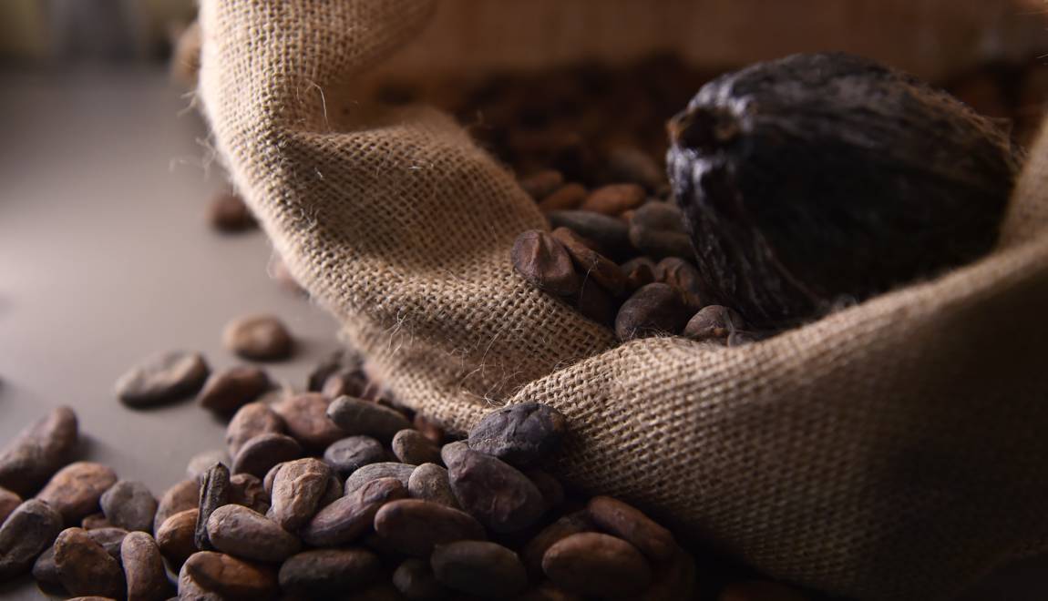 Journée Mondiale du Cacao et du Chocolat