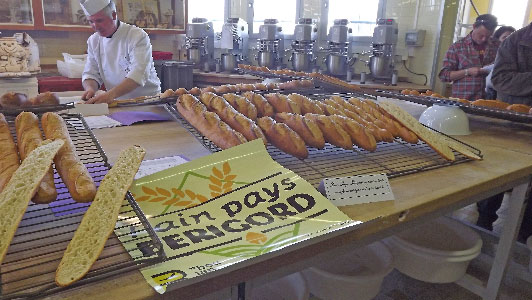 Pain Pays Périgord : des blés 100 % Dordogne