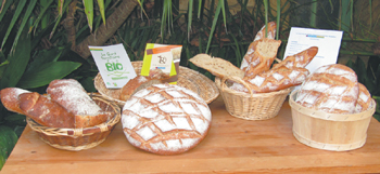 Filière biologique et régionale : Raspaillou, le pain bio du Languedoc-Roussillon