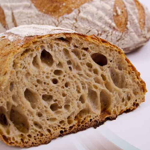 Le triticum